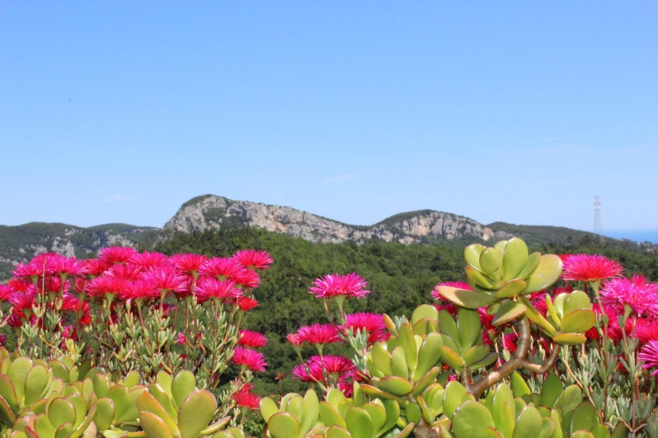 Bed and Breakfast Segni E Impronta Finale Ligure Exterior foto