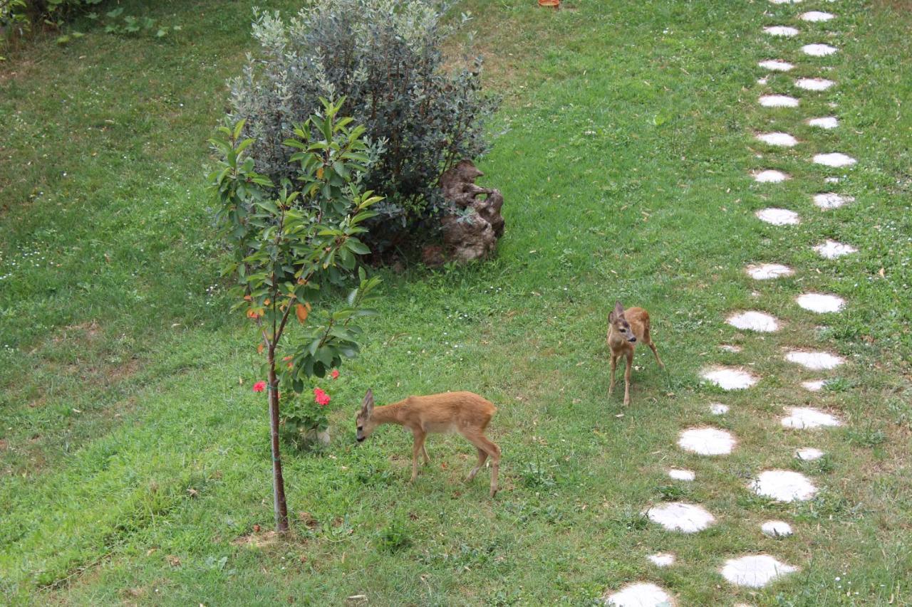 Bed and Breakfast Segni E Impronta Finale Ligure Exterior foto