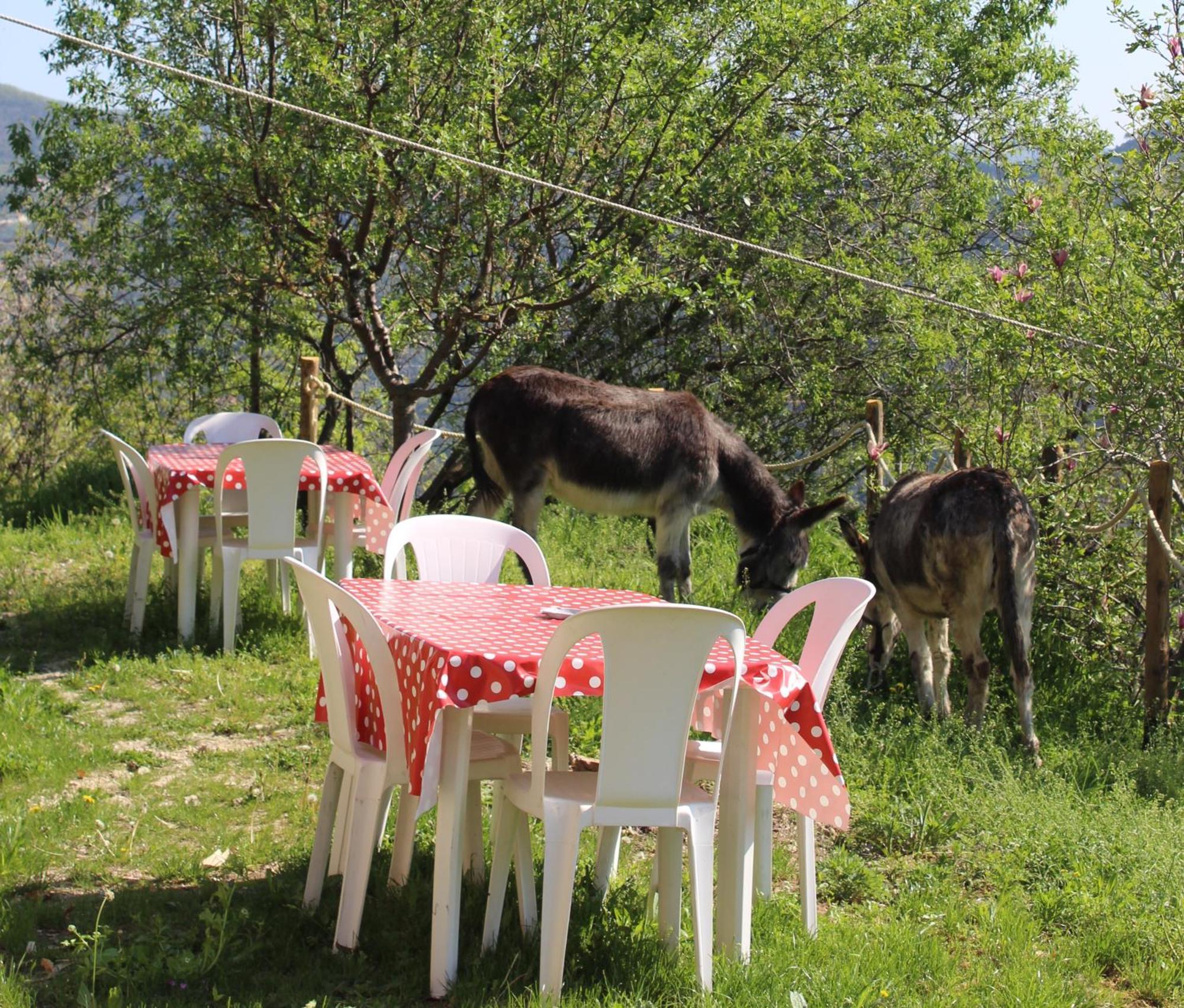 Bed and Breakfast Segni E Impronta Finale Ligure Exterior foto